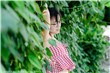 姥姥的饺子馆剧情介绍